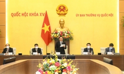 Những tấm gương “Tỏa sáng nghị lực Việt” là nguồn cảm hứng lan tỏa động lực cho xã hội