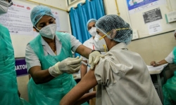 WHO cấp phép sử dụng khẩn cấp vaccine Covovax do Ấn Độ sản xuất