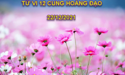 Xem tử vi của 12 cung hoàng đạo hôm nay thứ 4 ngày 22/12/2021