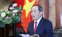 Ông Lê Khánh Hải xin thôi chức Chủ tịch VFF