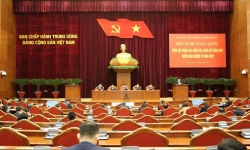 Đề nghị BCH Trung ương, Bộ Chính trị, Ban Bí thư thi hành kỷ luật 6 tổ chức đảng và 20 đảng viên