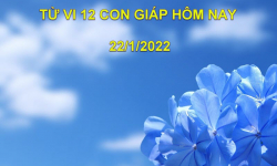 Tử vi hôm nay 22/1/2022, thứ 7 ngày 20/12 âm lịch của 12 con giáp