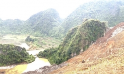 UBND tỉnh Ninh Bình yêu cầu kiểm tra việc Công ty Duyên Hà phá rừng