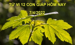 Tử vi 7/4/2022 hôm nay thứ 5 ngày 7/3 âm lịch của 12 con giáp