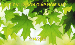 Tử vi 11/4/2022 hôm nay thứ 2 ngày 11/3 âm lịch của 12 con giáp