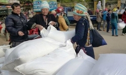 Chính phủ hỗ trợ gạo cho 2 tỉnh Tuyên Quang và Quảng Trị