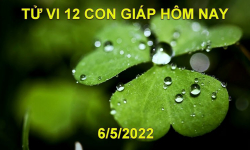 Tử vi 6/5/2022 hôm nay thứ 6 ngày 6/4 âm lịch của 12 con giáp