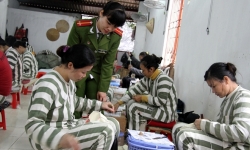 Phạm nhân được trả một phần công lao động khi được tổ chức lao động ngoài trại giam