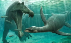Bằng chứng từ hóa thạch ở Ma-rốc cho thấy sự tồn tại của quái vật hồ Loch Ness