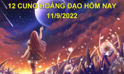 Tử vi 12 cung hoàng đạo hôm nay, Chủ nhật ngày 11/9/2022