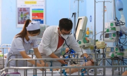 Hà Nội yêu cầu xây dựng đề án phòng chống khi số ca mắc sốt xuất huyết tăng nhanh