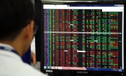 Hàng loạt cổ phiếu giảm sàn, VN-Index mất gần 23 điểm