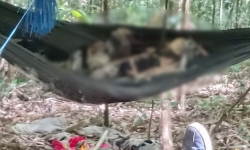 Gia Lai: Thông tin mới nhất về 2 bộ xương khô được phát hiện giữa rừng