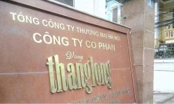 Vang Thăng Long (VTL), sắp phát hành cổ phiếu tăng vốn điều lệ
