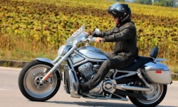 Khám phá những chiếc mô tô Harley-Davidson tốt nhất từng được sản xuất