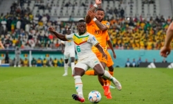 Đội tuyển Hà Lan đánh bại Senegal bằng 2 bàn thắng muộn