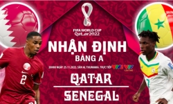 Nhận định Qatar vs Senegal, 20h ngày 25/11 tại bảng A World Cup 2022