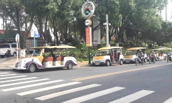 Lâm Đồng: Không chấp thuận đề xuất đưa xe điện chở du khách nội thành Đà Lạt