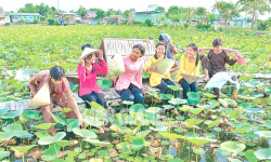 Kiên Giang có nhiều tiềm năng phát triển du lịch nông thôn