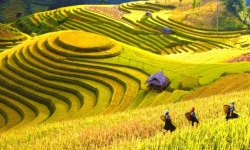 Du lịch Việt Nam được đánh giá cao trên báo quốc tế