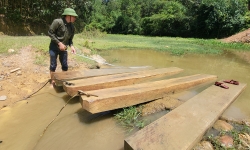 Thanh Hóa: Phát hiện nhiều tấm gỗ đóng thành bè trên suối