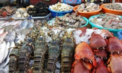 Liên hoan ẩm thực Quảng Ninh năm 2023 diễn ra từ ngày 28-30/7