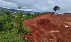 Lâm Đồng: Ngang nhiên san gạt đất trái phép dưới chân núi Langbiang