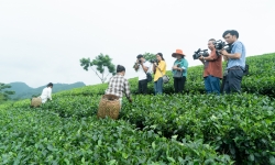 Hơn 30 hội viên nhà báo đi thực tế sáng tác tại huyện Định Hóa, Thái Nguyên