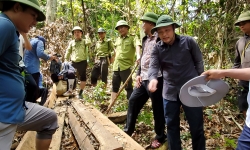 “Máu rừng” vẫn chảy ở xứ Thanh: Phó Chủ tịch UBND tỉnh Thanh Hóa thị sát vụ phá rừng tại Như Xuân
