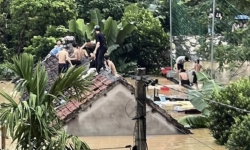 Nghệ An: Nước lũ dâng ngập phòng trọ, 40 học sinh trèo lên nóc nhà tránh trú