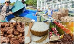 Trung Quốc chi 8,7 tỷ USD mua nông sản của Việt Nam