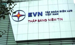Bắt tạm giam 5 cán bộ Tập đoàn Điện lực Việt Nam và Bộ Công thương