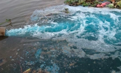 Hải Dương: Phát hiện 3 doanh nghiệp xả thải gây ô nhiễm môi trường