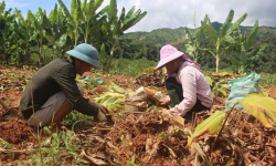 Tập trung nguồn lực đầu tư để sớm đưa cuộc sống của đồng bào Cống, Sila lên một bước tiến mới