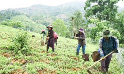 Giải quyết đất ở, đất sản xuất cho vùng đồng bào dân tộc thiểu số và miền núi trong sửa đổi Luật Đất đai