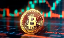 Choáng váng dự báo Bitcoin năm 2024: Tăng 1.000% lên 500.000 USD