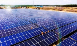 Điểm mặt loạt doanh nghiệp điện mặt trời khởi công dự án khi chưa được thuê đất