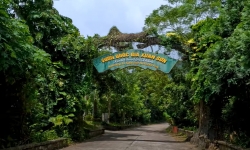 Tận hưởng không gian xanh, khám phá hệ sinh thái độc đáo tại Vườn Quốc gia Xuân Sơn