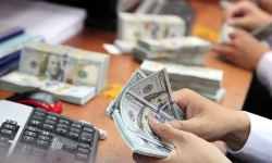 Đồng USD ngân hàng giảm mạnh, USD tự do ‘cố thủ’ ở mức 25.000 đồng