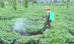 Xây dựng hạ tầng thiết yếu, giúp đồng bào dân tộc thiểu số thoát nghèo