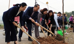 Bắc Ninh: Hội Nông dân tỉnh phấn đấu trồng mới hơn 74.000 cây xanh trong năm 2024