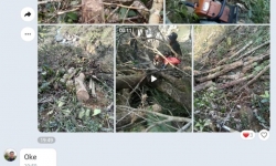 Khởi tố vụ án thuê người “dọn” rừng tự nhiên ở Kon Tum