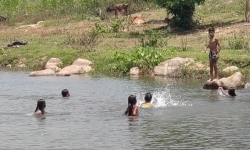 Gia Lai: Tắm sông trong lúc đi chăn bò, 3 em nhỏ tử vong do đuối nước