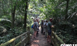 Vườn quốc gia Cúc Phương - ‘Mái ấm’ của hệ sinh thái động, thực vật đa dạng, phong phú