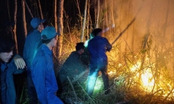 Vụ cháy rừng Cà Mau: Đã cô lập đám cháy