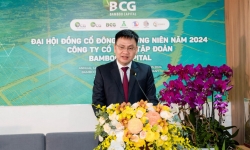 Bamboo Capital (BCG) mục tiêu lợi nhuận tăng 6 lần, đưa Bảo hiểm AAA lên UPCoM