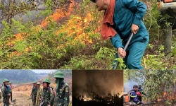 Hàng trăm người xuyên đêm chữa cháy rừng ở Nghệ An