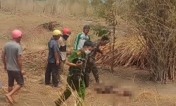 Gia Lai: Phát hiện thi thể người đàn ông trong vườn cao su