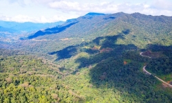 Kon Tum: Đề nghị thu hồi hơn 1,1 tỷ đồng sai phạm tại Ban quản lý Khu bảo tồn thiên nhiên Ngọc Linh