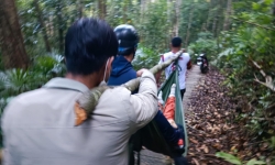 Gia Lai: Tham quan thác K50, người phụ nữ bị cây đè tử vong